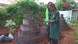Kenya: Biến rác hữu cơ thành phân bón sạch