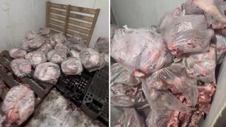 Phát hiện hơn nửa tấn thịt heo bốc mùi chuẩn bị tiêu thụ