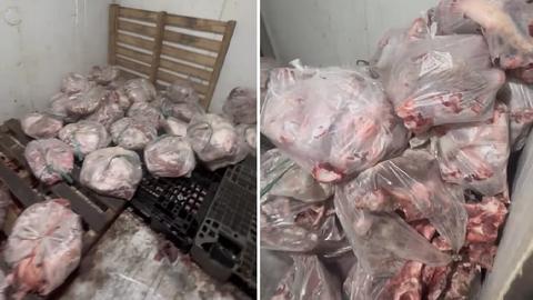 Phát hiện hơn nửa tấn thịt heo bốc mùi chuẩn bị tiêu thụ