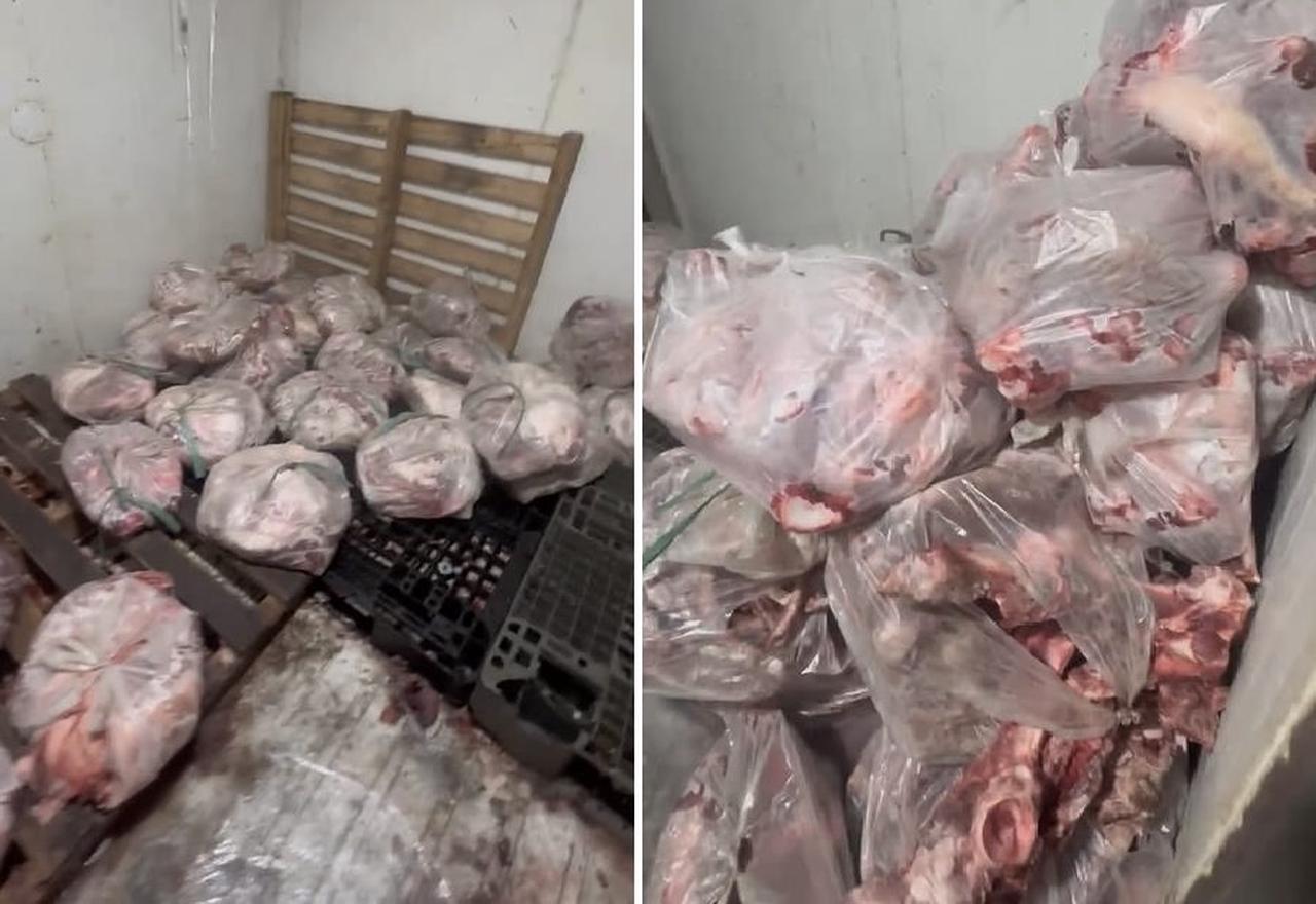 Phát hiện hơn nửa tấn thịt heo bốc mùi chuẩn bị tiêu thụ