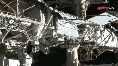 Ký ức trọng lực trong não bộ phi hành gia