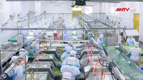 Tuần lễ thương hiệu quốc gia: Đòn bẩy niềm tin, nâng tầm tiêu dùng