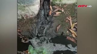 Thực trạng tại xã Tam Đảo: Lệnh dừng trên giấy, ô nhiễm ngoài đời