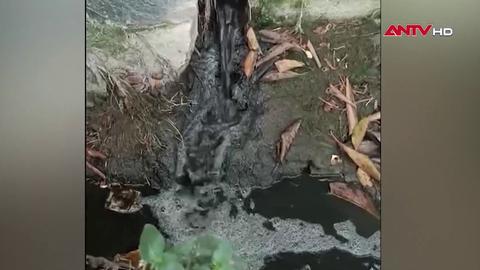 Thực trạng tại xã Tam Đảo: Lệnh dừng trên giấy, ô nhiễm ngoài đời