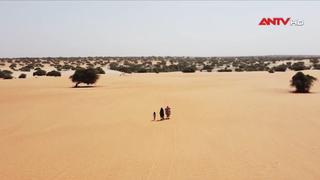 Liên hợp quốc cảnh báo nắng nóng cực đoan đe dọa hệ thống nông lương toàn cầu