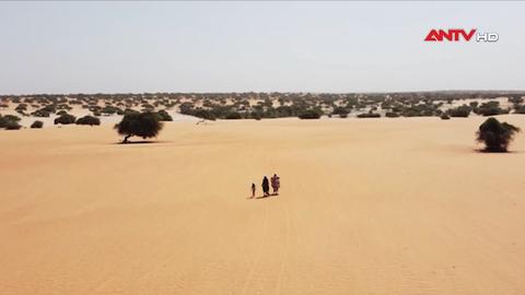 Liên hợp quốc cảnh báo nắng nóng cực đoan đe dọa hệ thống nông lương toàn cầu