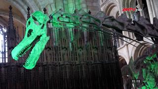 Trưng bày mô hình loài khủng long lớn nhất thế giới