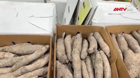 Kinh tế tiêu dùng ngày 23/4/2026