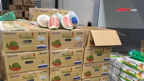 Quả bưởi Việt Nam lần đầu tiên được bán tại Australia