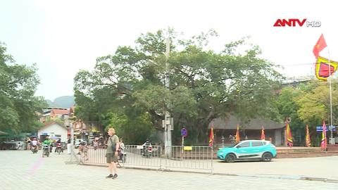 Quản lý mô hình lưu trú mới trên địa bàn du lịch