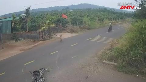 Khởi tố nguyên Thiếu tá CSGT trong vụ tai nạn khiến 1 học sinh tử vong