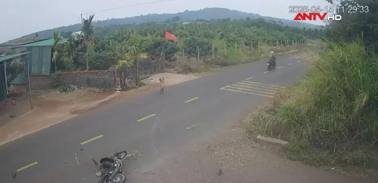 Khởi tố nguyên Thiếu tá CSGT trong vụ tai nạn khiến 1 học sinh tử vong