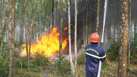 Nâng cao công tác phòng chống cháy rừng 