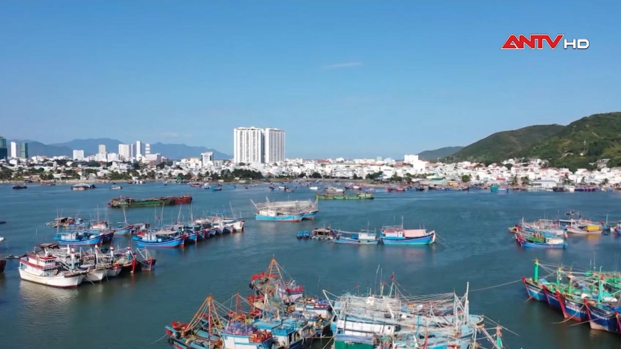 Thủ tướng yêu cầu khắc phục triệt để các tồn tại trong chống khai thác IUU