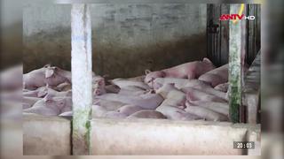 Khởi tố đối tượng xuất khống hóa đơn để trục lợi