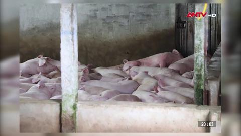 Khởi tố đối tượng xuất khống hóa đơn để trục lợi