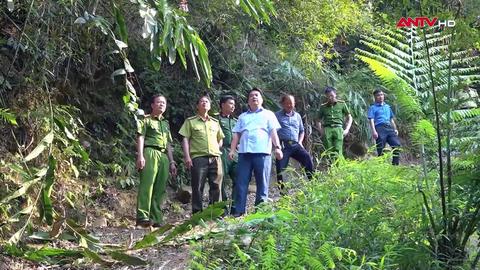 Số 17/2026:  Chủ động phòng chống cháy rừng mùa nắng nóng