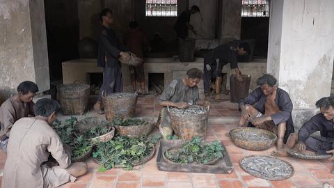 Mùa xuân của tự do