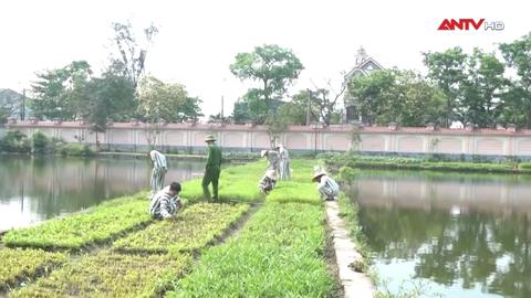 Ngày trở về của những người từng lầm lỡ