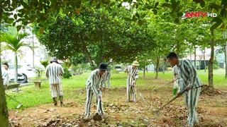 Niềm vui chờ ngày đặc xá