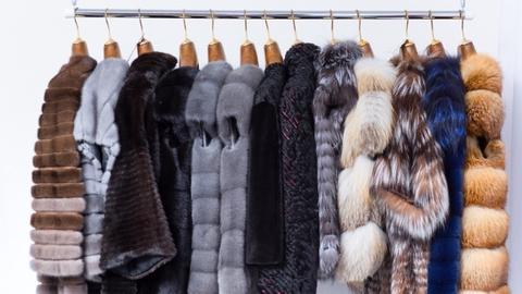 Trào lưu thời trang lông thú đã qua sử dụng ở Mỹ