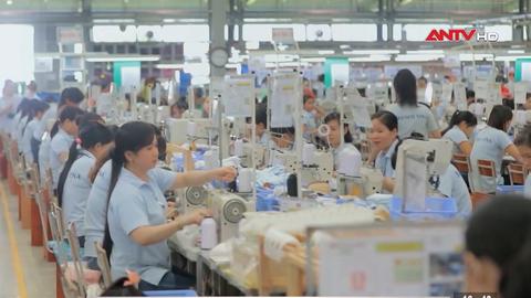 Kinh tế tiêu dùng ngày 30/4/2026