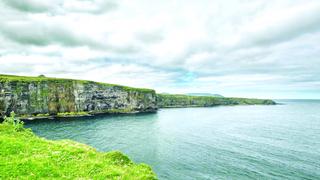 Từ bờ biển đến bàn ăn: rong biển Ireland "lên ngôi"