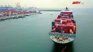 Nghị quyết 79 tạo động lực để kinh tế Nhà nước giữ vai trò dẫn dắt