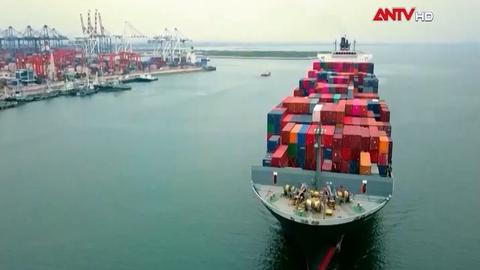 Nghị quyết 79 tạo động lực để kinh tế Nhà nước giữ vai trò dẫn dắt