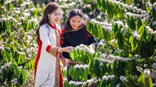 Quảng bá giá trị cà phê thông qua du lịch