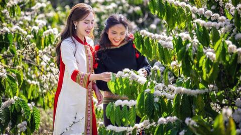 Kinh tế tiêu dùng ngày 04/5/2026