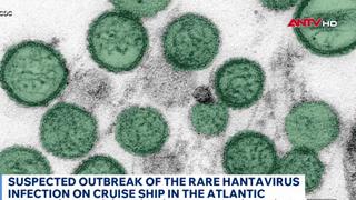 	WHO đánh giá nguy cơ lây lan virus Hanta ở mức thấp
