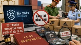Mở đợt cao điểm truy quét các website lậu, vi phạm bản quyền