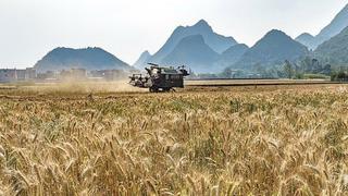  FAO: Giá lương thực thế giới tăng tháng thứ 3 liên tiếp