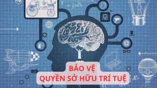 Quyết tâm ngăn chặn hành vi xâm phạm quyền sở hữu trí tuệ