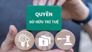 Cơ chế ngăn chặn và xử lý xâm phạm quyền sở hữu trí tuệ