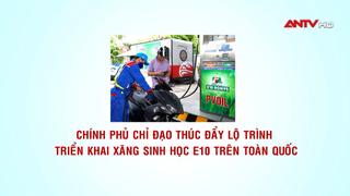 Thúc đẩy lộ trình triển khai xăng sinh học E10 trên toàn quốc