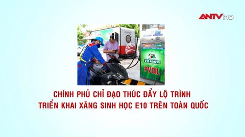 Thúc đẩy lộ trình triển khai xăng sinh học E10 trên toàn quốc