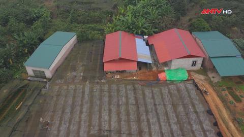 Vi phạm để trục lợi chính sách 