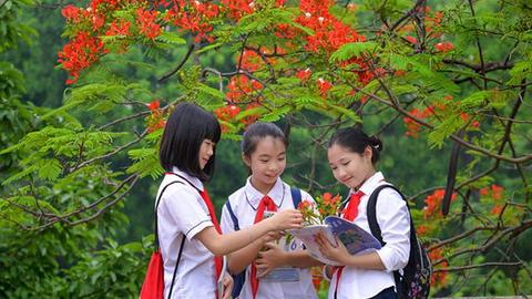 An ninh toàn cảnh ngày 14/5/2026