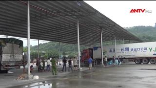 Kiểm soát chặt ma túy tại cửa ngõ biên giới Kim Thành