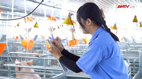IoT & cảm biến – "Mắt thần" giám sát thực tế