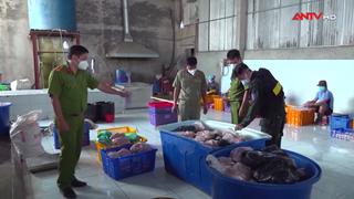 Cuộc chiến không khoan nhượng với thực phẩm bẩn
