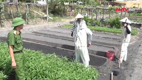 Niềm tin ngày trở về