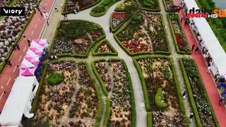 Vương quốc hoa hồng tại Gangwon