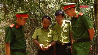 Chủ động phương án phòng cháy, chữa cháy rừng mùa khô