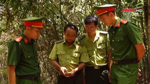 Chủ động phương án phòng cháy, chữa cháy rừng mùa khô