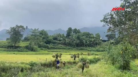Lan tỏa phong trào “Ba nhất” từ những việc làm vì Nhân dân 