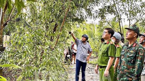  Lốc xoáy gây thiệt hại nhiều hộ dân ở Cà Mau