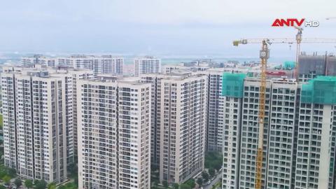 Triển khai quyết liệt các giải pháp phát triển nhà ở cho thuê